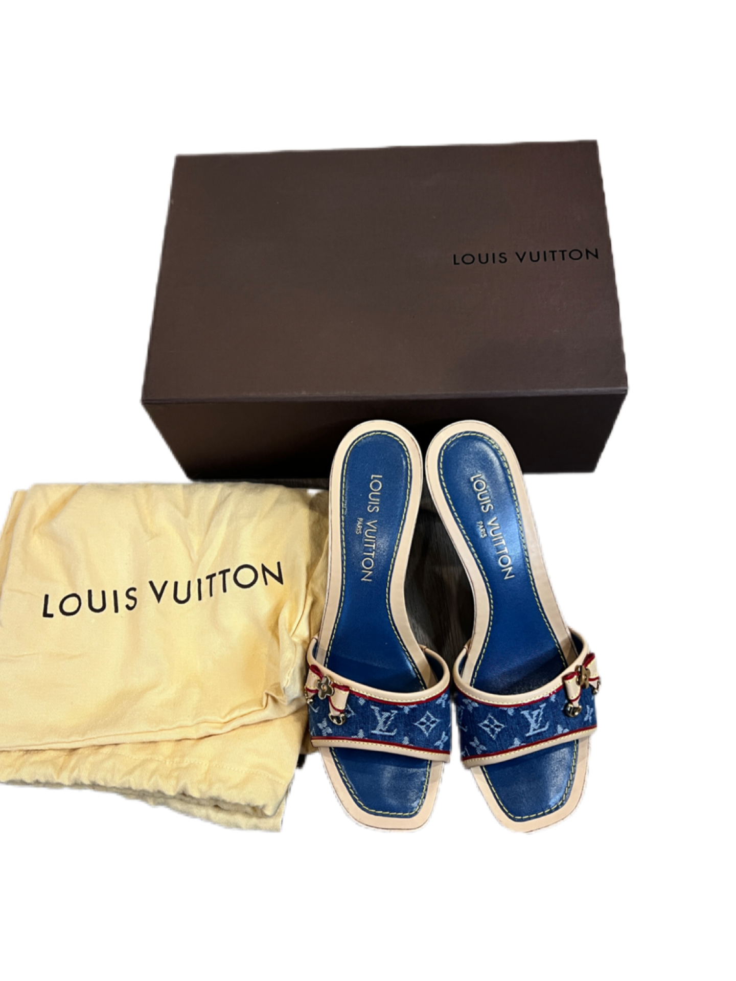 Louis Vuitton Monogram Denim Heels